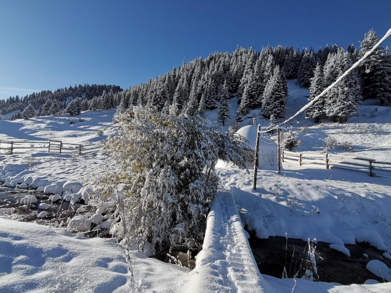 Mine Hostel Dzhergalan Jyrgalan エクステリア 写真